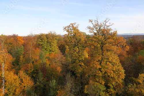 Aussicht vom Kernenturm auf dem Berg Kernen in Fellbach auf herbstliche Laubbäume