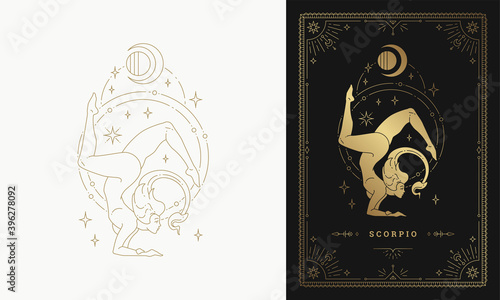 Zodiac scorpio girl character horoscope sign line art silhouette design vector illustration photo