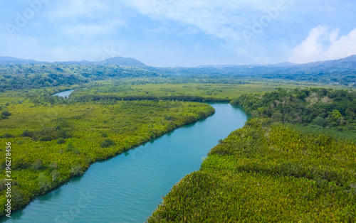 Aerial view of Green tropical mangrove forest with ecology nature system and mountain background © SASITHORN