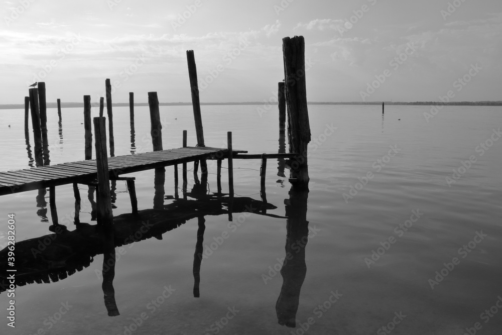 pali di legno sul lago, wooden poles on the lake 