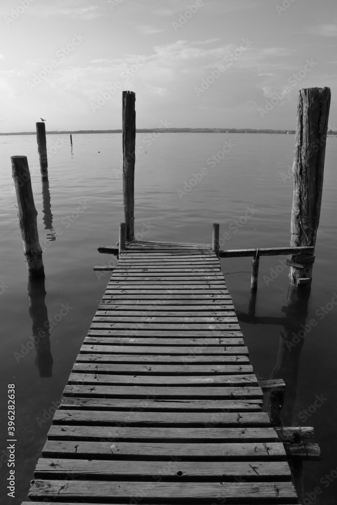 pali di legno sul lago, wooden poles on the lake 