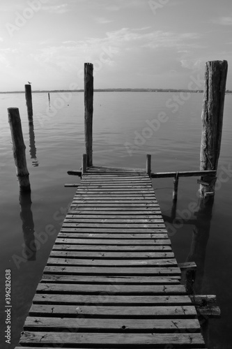 pali di legno sul lago, wooden poles on the lake 