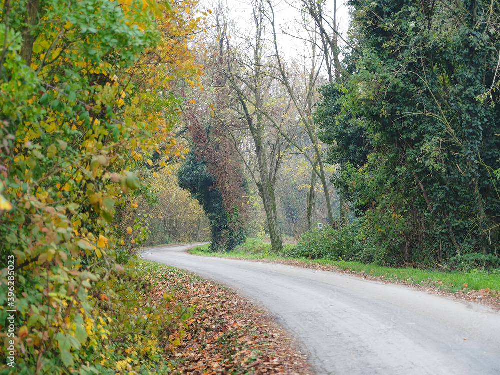 Copparo, Italy. Emilian countryside on a misty November day.