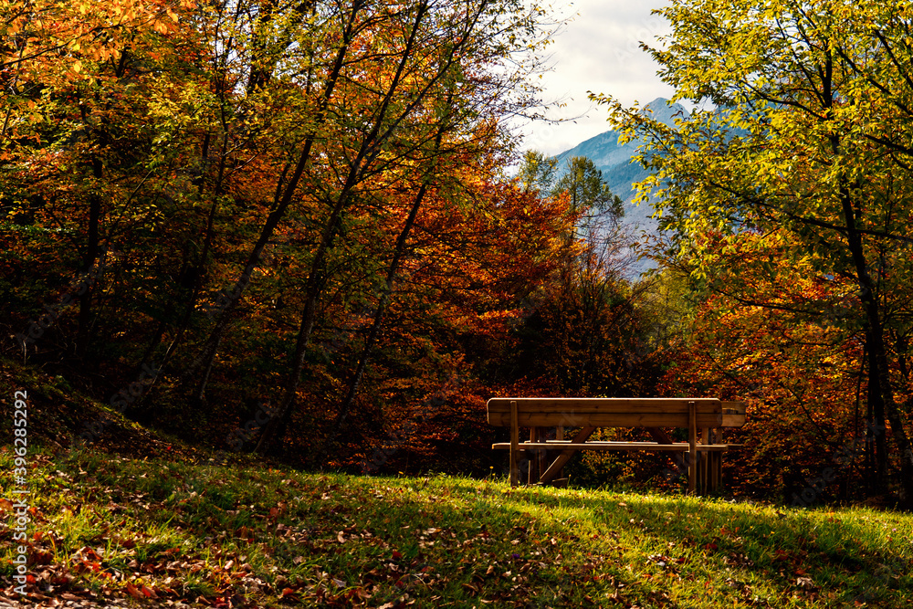 Alone autumn bench