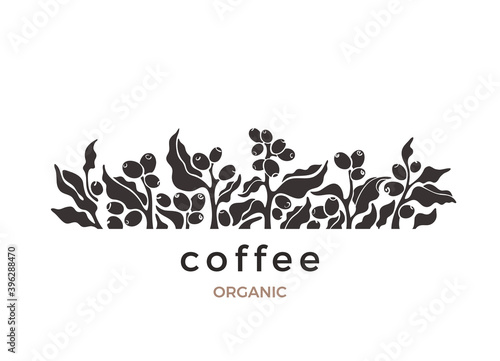 Coffee plant. Vector border Nature bio silhouette