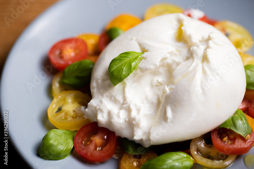 Burrata cheese on colourful tomato and basil salad