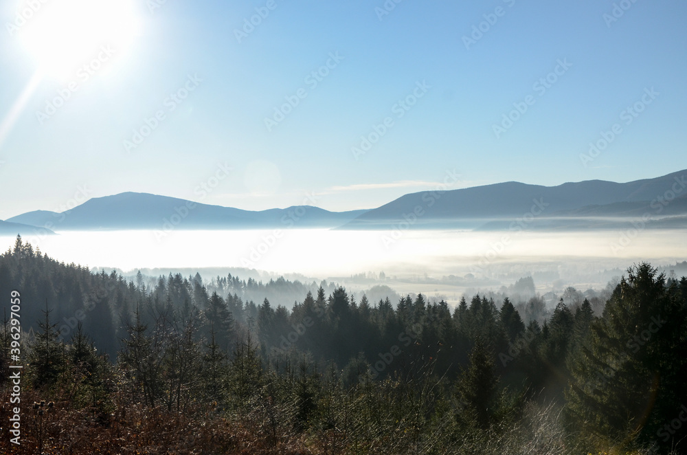 Fog in valley in winter morning. Mist among trees in forest. Foggy day in mountains. Landscape.