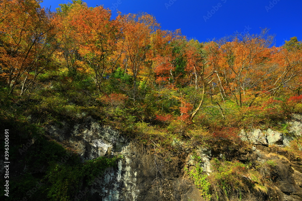 岩手県花巻市　紅葉の平良木の立岩