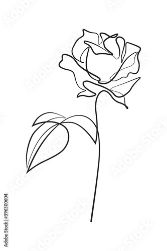 Rose flower in continuous line art drawing style. Black linear sketch isolated on white background. Vector illustration