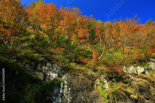Fototapeta Naklejka Na Ścianę i Meble -  岩手県花巻市　紅葉の平良木の立岩