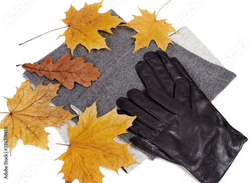 Gray neckscarf and gloves with yellow maple and oak leaves on white background, isolted photo