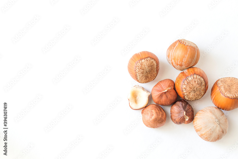 Hazelnut on a white background.