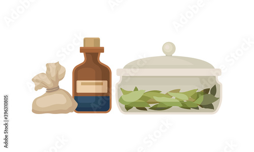 Glass Bottle with Mixture and Bay Leaves as Ancient Medicine Vector Set
