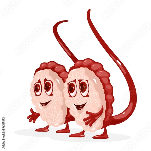 Male reproductive system testis and scrotum with eyes, mouth, hands and legs. Vector biology and anatomy of body. Medicine and insemination idea isolated on white background