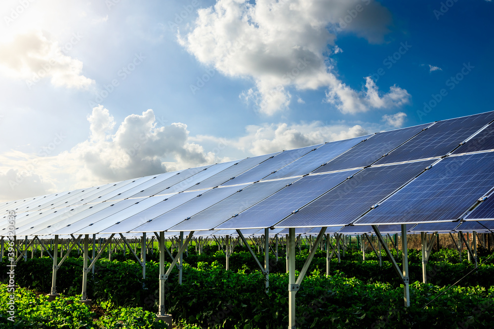 Solar power panels and natural landscape in sunny summer, Asia Solar power panels and natural landscape in sunny summer, Asia