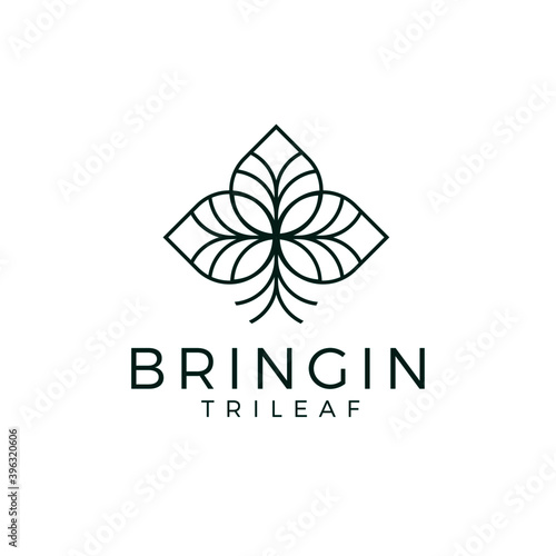 abstract flower and leaf clove logo luxury and minimalist style for garden and hotel brand identity