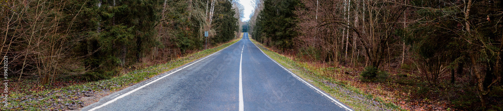 large panorama of an asphalt road in the forest large panorama of an asphalt road in the forest