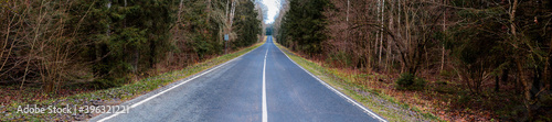 large panorama of an asphalt road in the forest