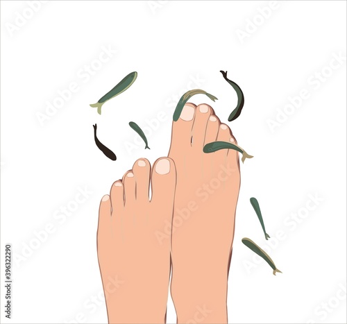 Peeling with Garra Rufa fish. pedicure in a beauty salon. Spa treatment with fish. Legs care
