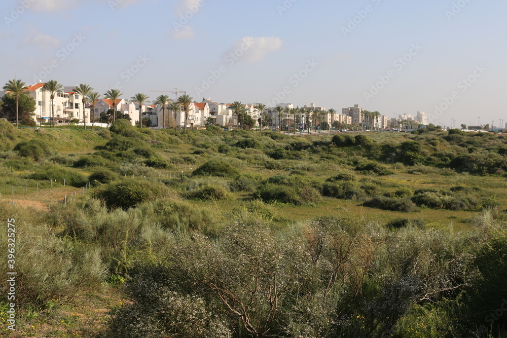panoramic view of the village of Israel Netanya