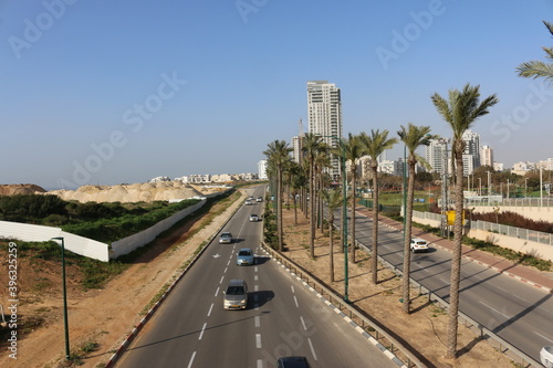 Israel Netanya highway palm trees © subbot