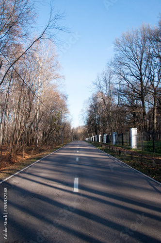 The asphalt road is being cooked. Background, texture. Autumn day in the park.