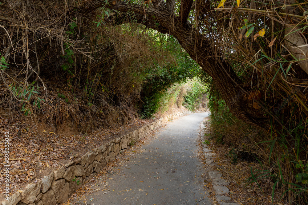 A path passing near the swift, shallow, cold mountain Ayun river in the Galilee in northern Israel A path passing near the swift, shallow, cold mountain Ayun river in the Galilee in northern Israel
