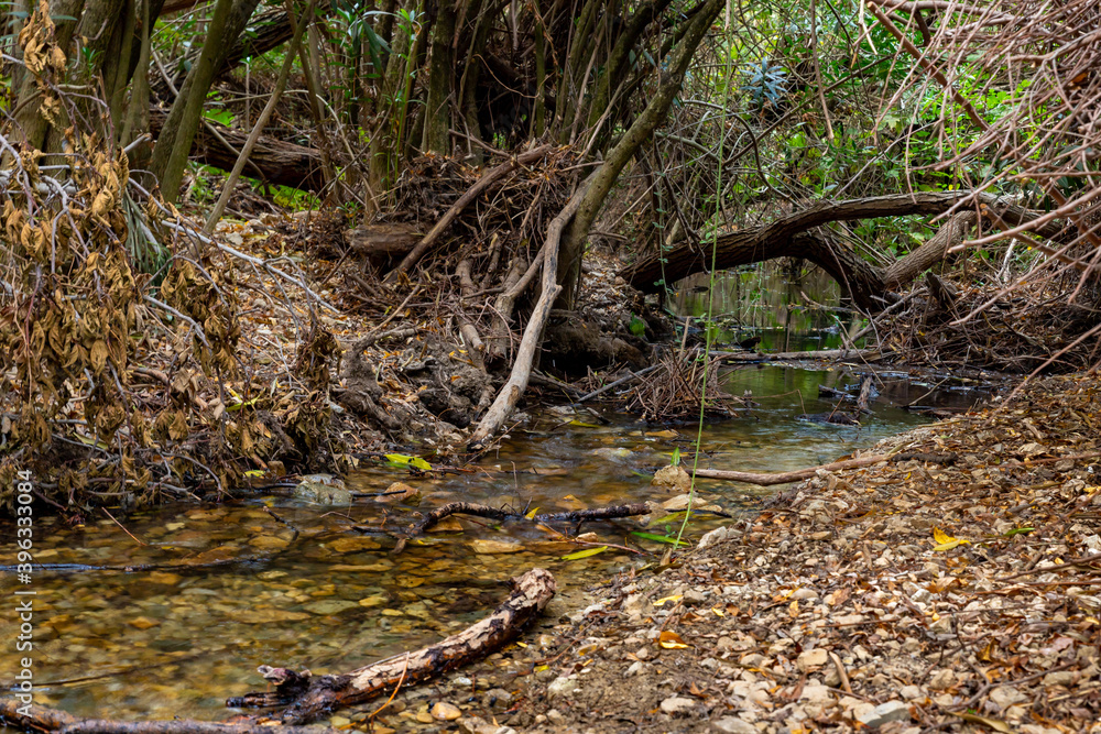 The swift, shallow, cold mountain Ayun river in the Galilee in northern Israel The swift, shallow, cold mountain Ayun river in the Galilee in northern Israel