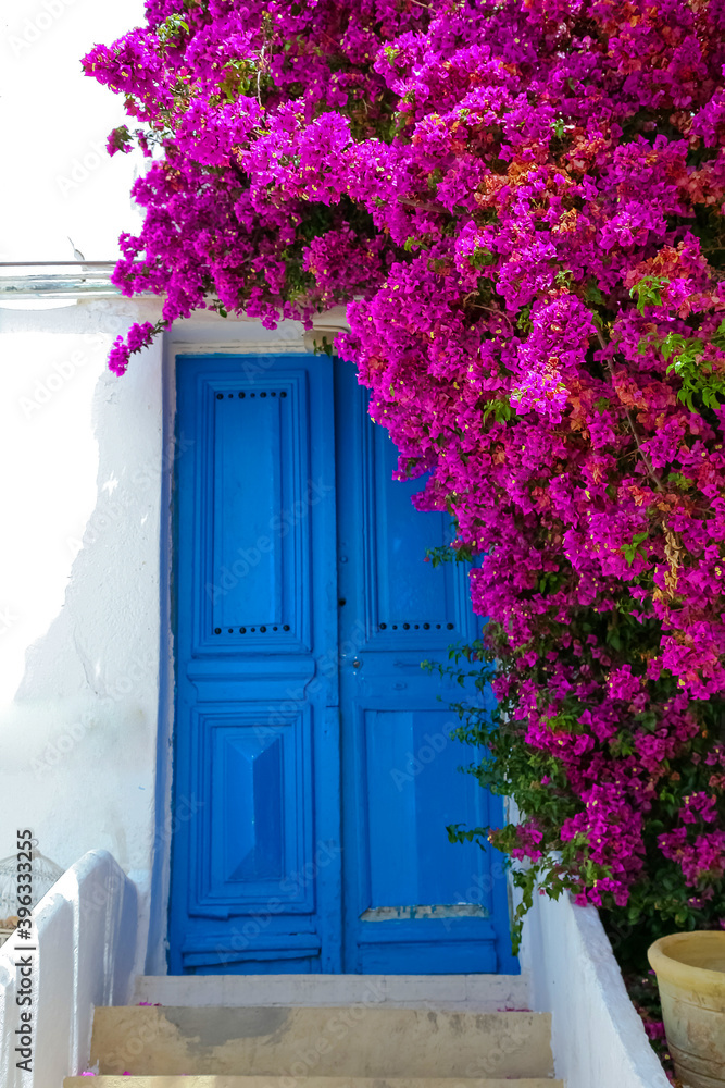 door and flowers in a house Tunisia
