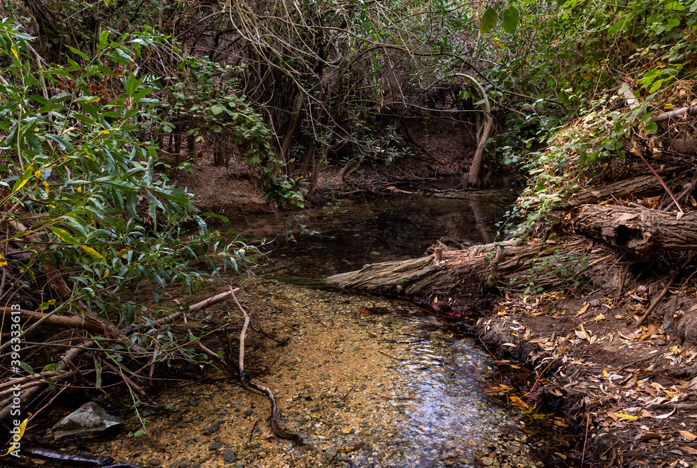 The swift, shallow, cold mountain Ayun river in the Galilee in northern Israel The swift, shallow, cold mountain Ayun river in the Galilee in northern Israel