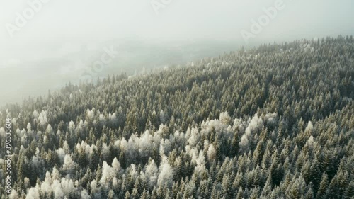 Flying over the norwegian winter forest in late November. It's cold and misty, but some sun.  Shot in sørkedalen, Oslo, Norway. 