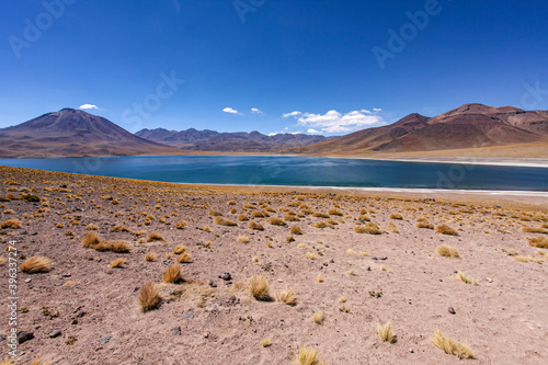 Hochland-Seen Lagunas Altiplanicas im Anden-Hochland von Chile photo