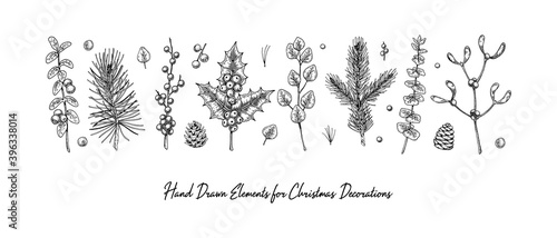 Set of hand drawn Christmas plants isolated on white background. Christmas decoration elements. Vector illustration in sketch style