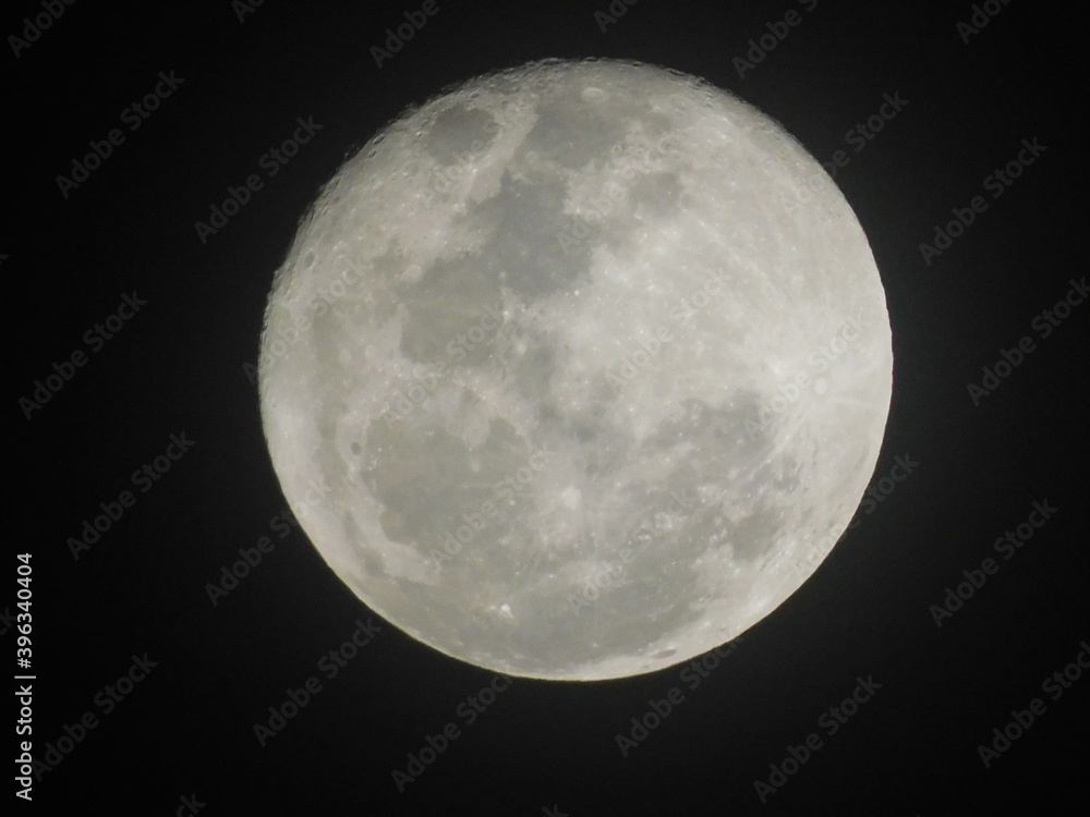 Fototapeta premium Luna