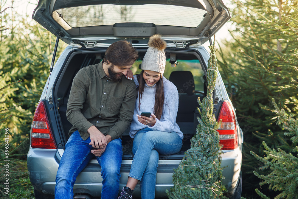 Joyful bearded man and pretty woman in hat sitting in car trunk holding fir tree and using smartphone at plantation area