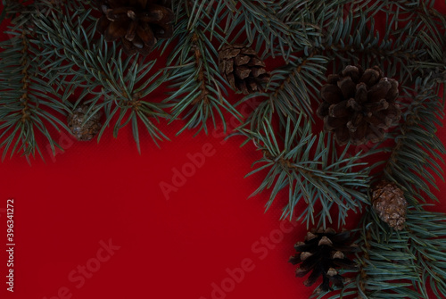 Blue pine twigs and cones on a trendy red background. Festive background with place for text or logo for your projects. Winter holidays  new year and christmas.