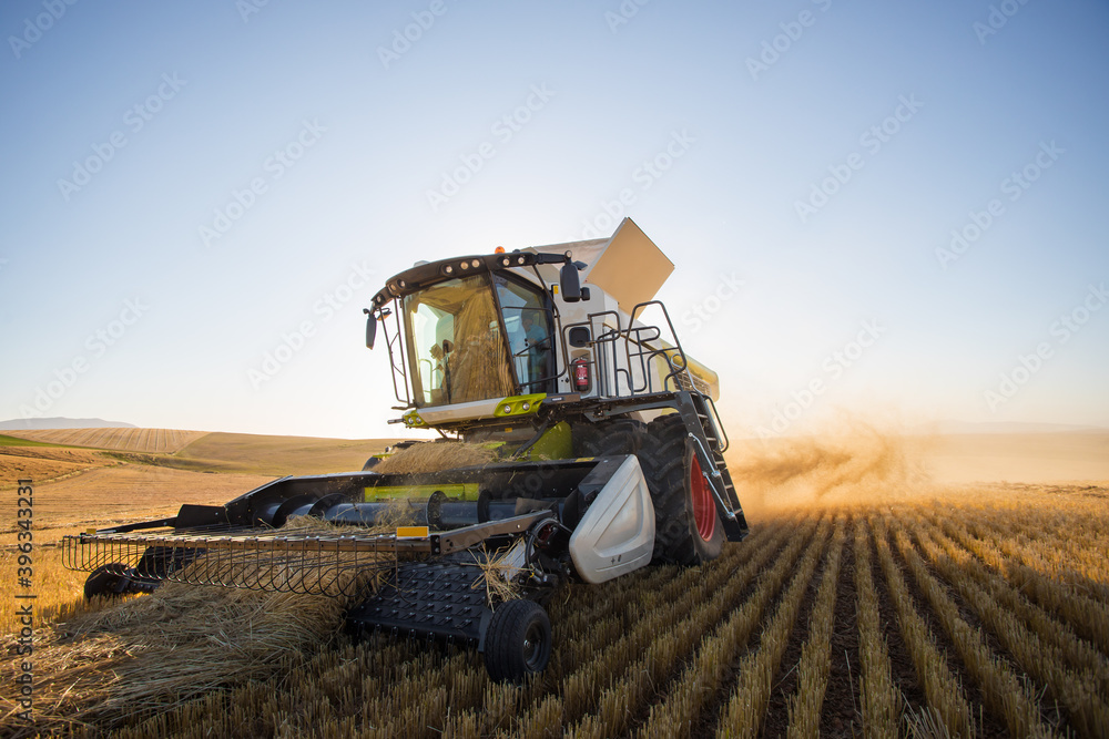 Fototapeta premium Wide angle view of a combine harvester harvesting wheat on a wheat field on a farm in the Swartland in the Western Cape of South Africa