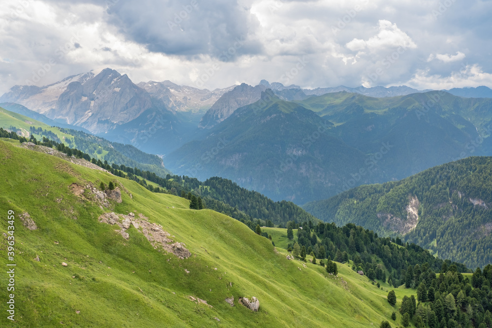 Alps meadows on a slope in a mountainous landscape
