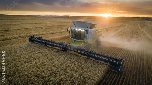 Tableau sur toile Wide angle view of a combine harvester harvesting wheat on a wheat field on a fa