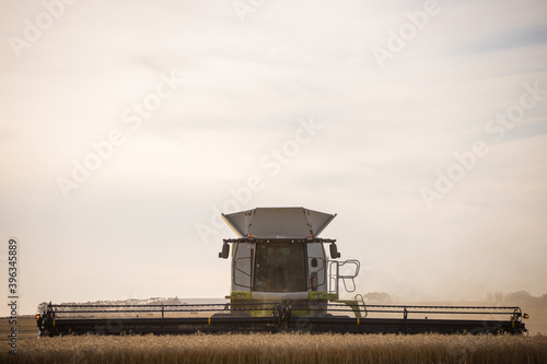 Obraz na plátně Wide angle view of a combine harvester harvesting wheat on a wheat field on a fa