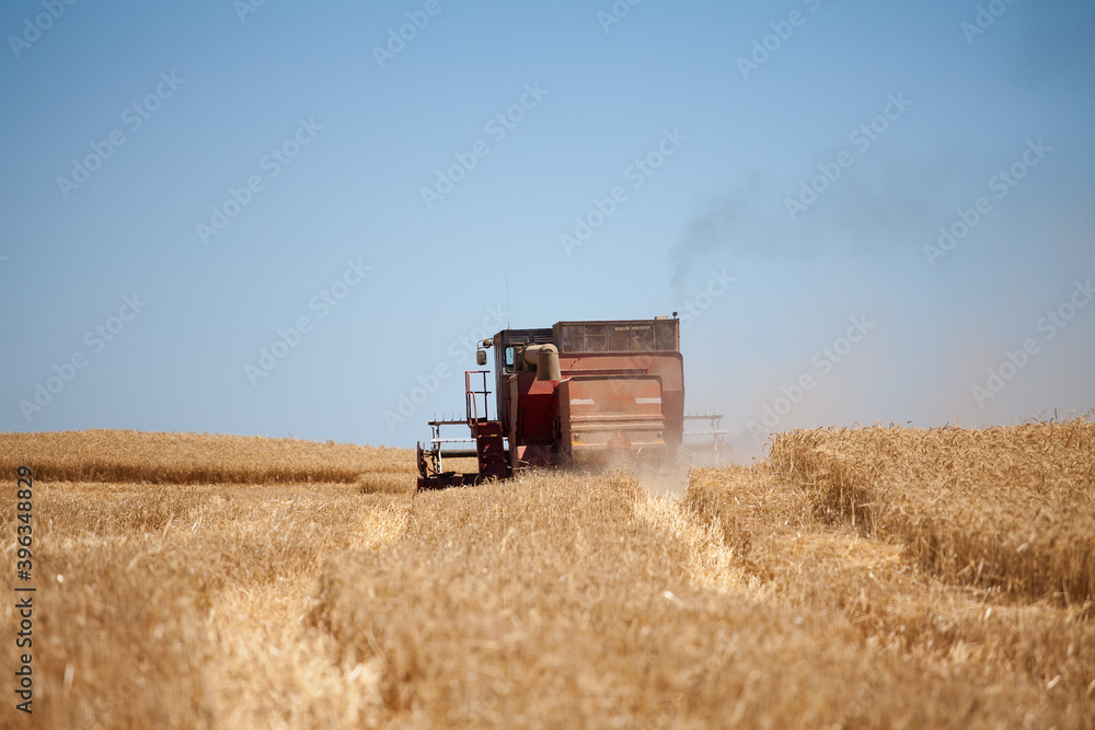 Fototapeta premium Close up view of a combine harvester in the Swartland Region of South Africa