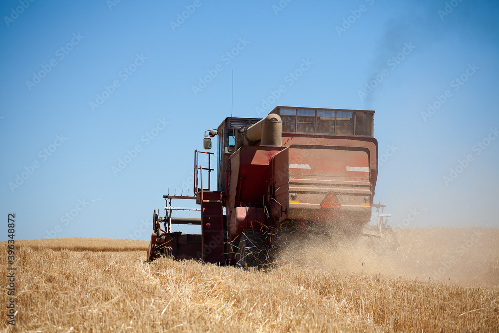 Fototapeta premium Close up view of a combine harvester in the Swartland Region of South Africa
