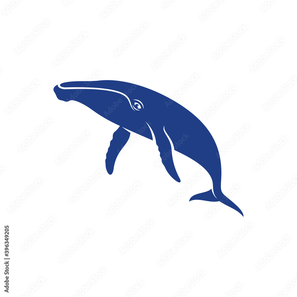 Whale design vector, Creative Whale illustration template Whale design vector, Creative Whale illustration template