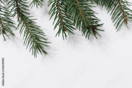 Close up of fir tree branch isolated on white  copy space