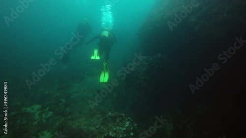 Wallpaper Mural Divers swimming in deep ocean among aquatic vegetation Torontodigital.ca