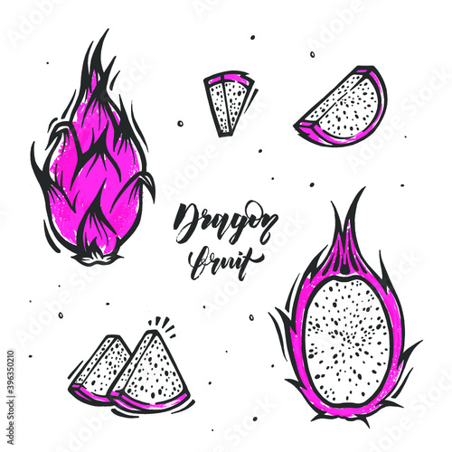 Set of slices of dragon fruit in hand drawn style