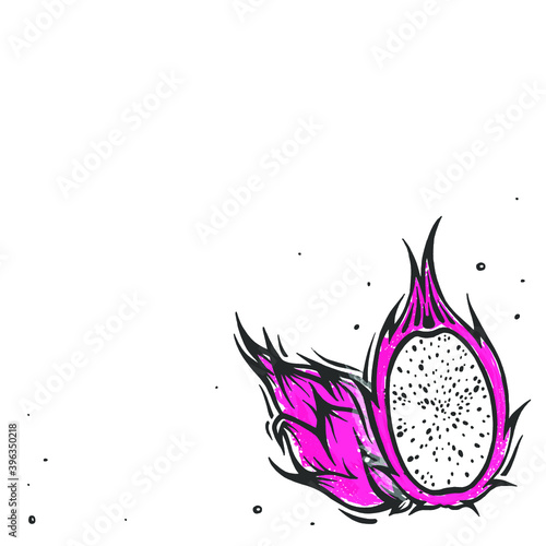 Vector frame with Exotic Dragon fruit . thailand pitahaya fruit in doodle style