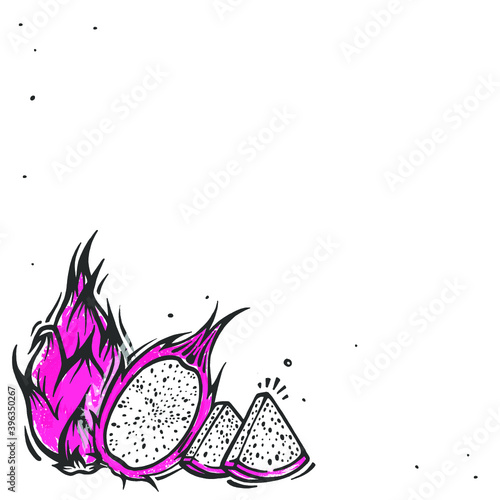 Vector frame with Exotic Dragon fruit . thailand pitahaya fruit in doodle style