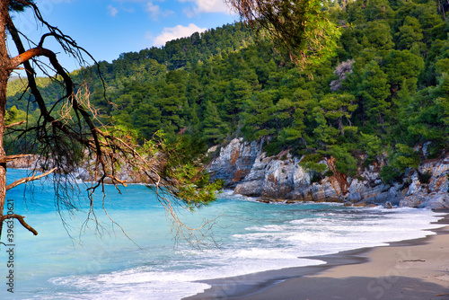 Fototapeta Naklejka Na Ścianę i Meble -  Beautiful view of a Kastani Beach in Skopelos island, Greece