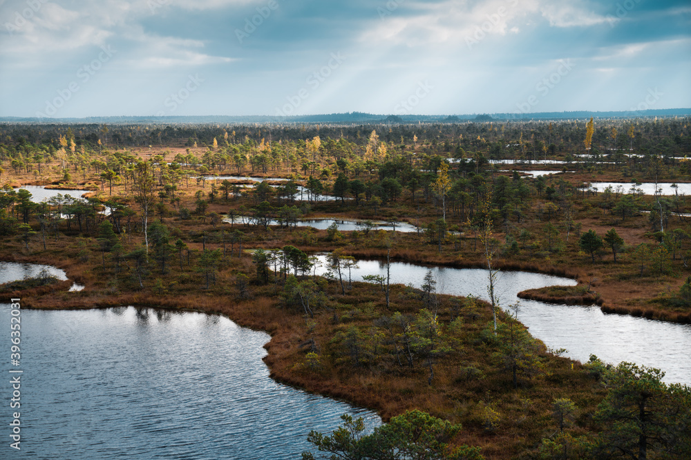 Top view of the swamps of the Kemeri National Park